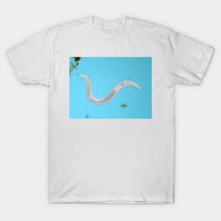 Microscopic free-living nematode worm from garden soil T-Shirt